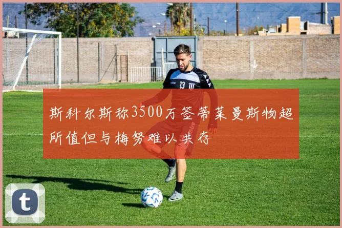 斯科尔斯称3500万签蒂莱曼斯物超所值但与梅努难以共存
